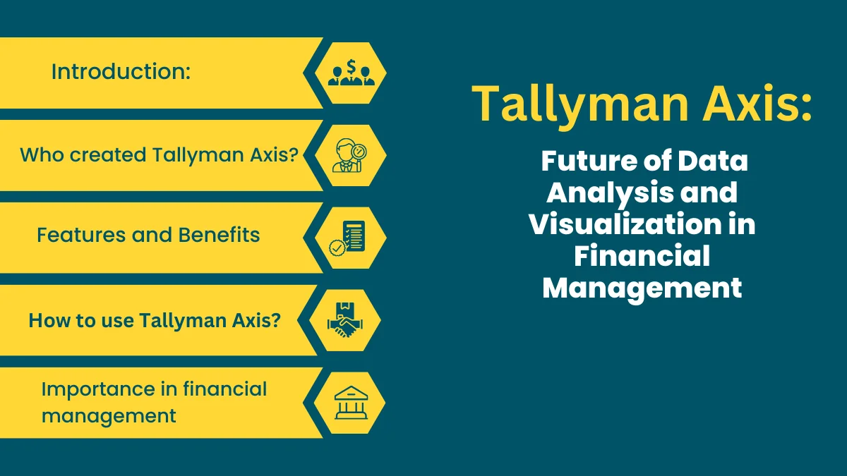 Tallyman Axis: Future of Data Analysis and Visualization in Financial Management